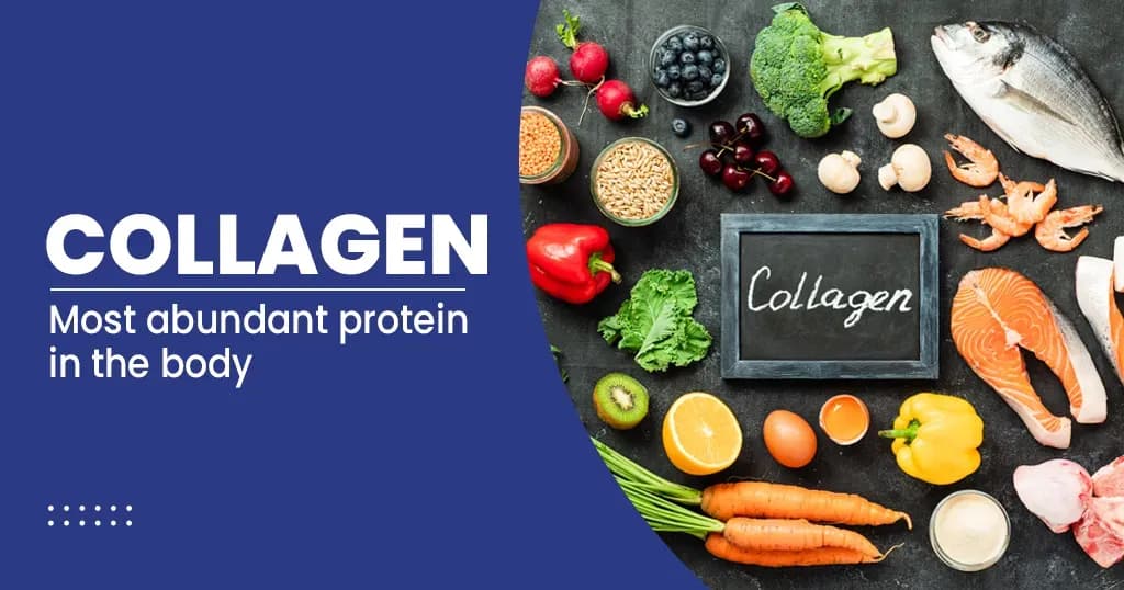 Collagen Types, Roles, Causes and Benefits 
