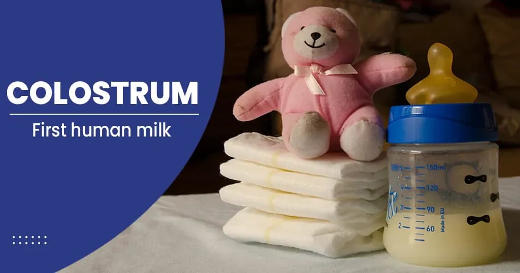 Colostrum Stages and Benefits