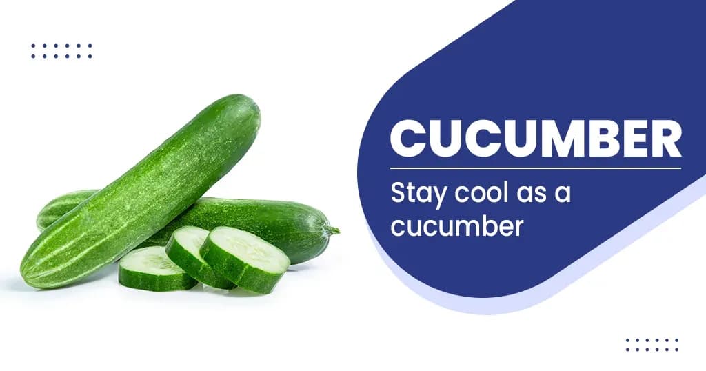 Cucumber Nutrition and Health Benefits