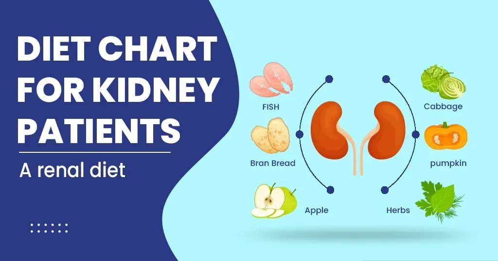 Diet Chart For Kidney and Dialysis Patients