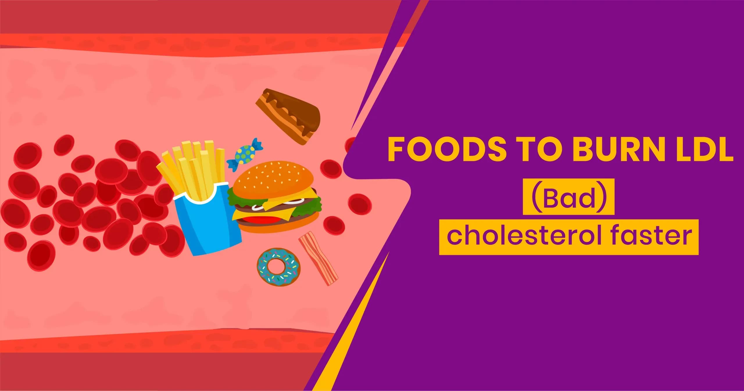 What is LDL & HDL? How to reduce Cholesterol Level?