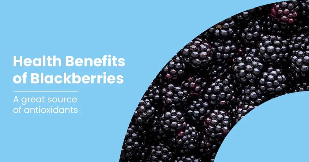 Health Benefits of Blackberries and Its Nutritional Profile