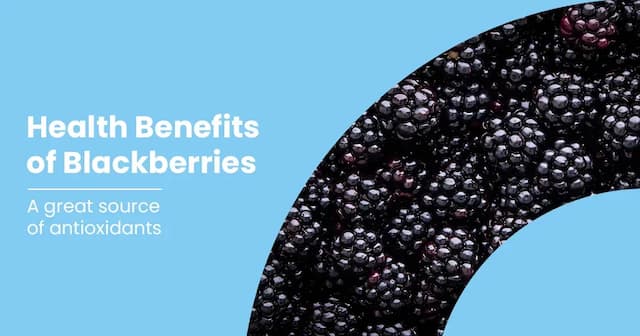 10 Health Benefits of Blackberries: Complete Guide