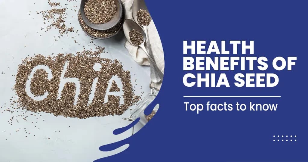 10 Health Benefits of Chia seeds and how to Eat