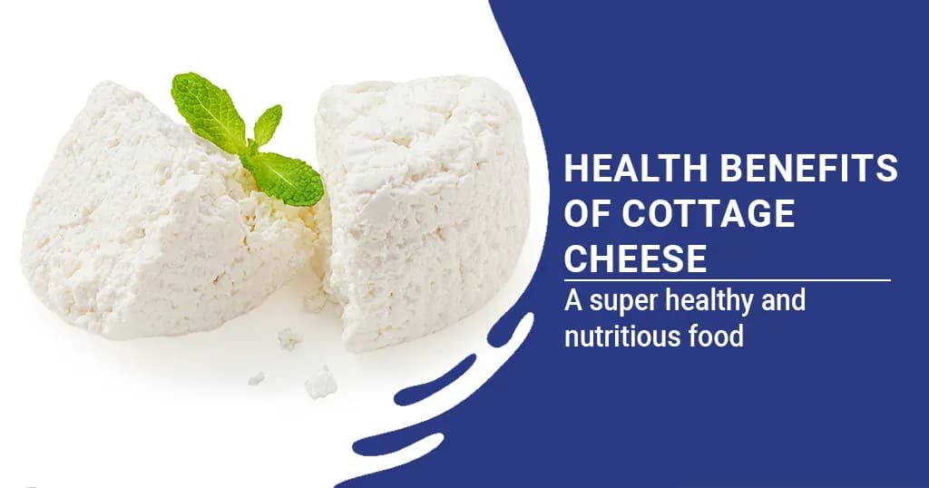 Health Benefits of Cottage Cheese