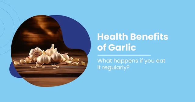 Garlic Health Benefits and Its Nutritional Profile
