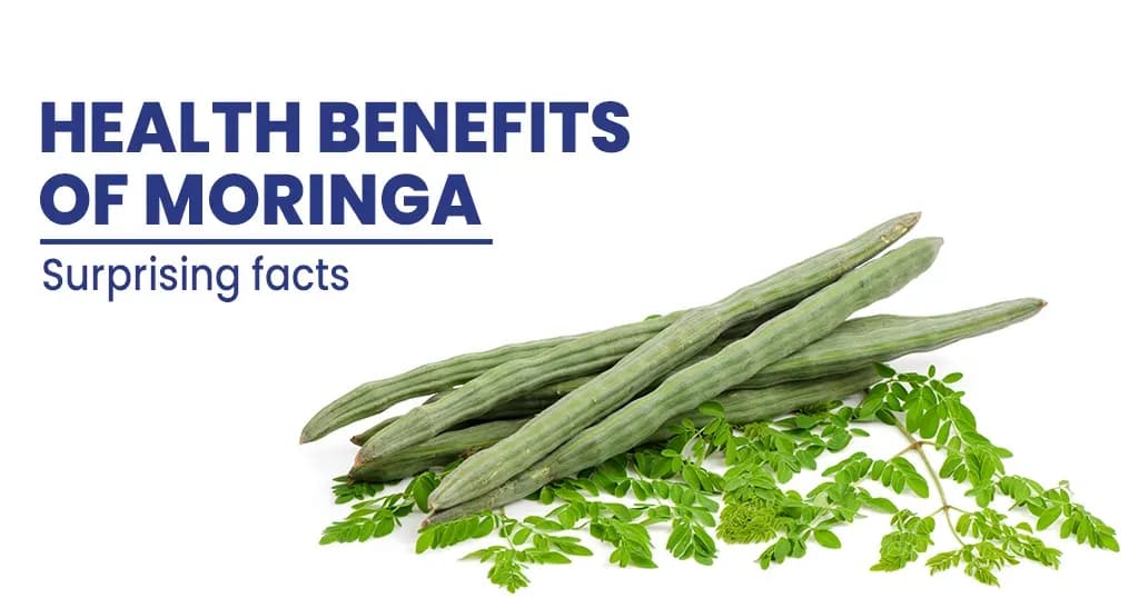 Moringa Benefits - Check out Benefits of Moringa Vegetable & Oil & Capsules