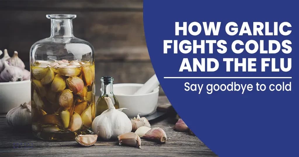 How Garlic Fights Colds and the Flu