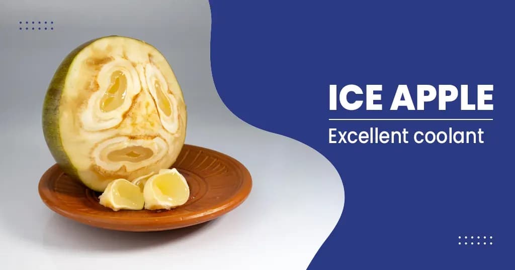Ice Apple Benefits, Side Effects and Its Nutritional Profile

