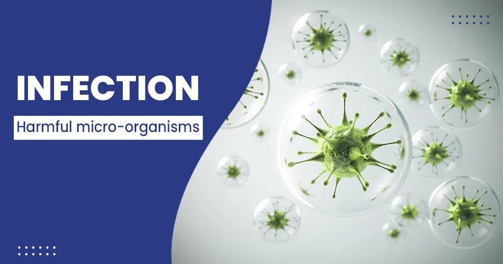 Infection Types, Symptoms, Causes and Treatments