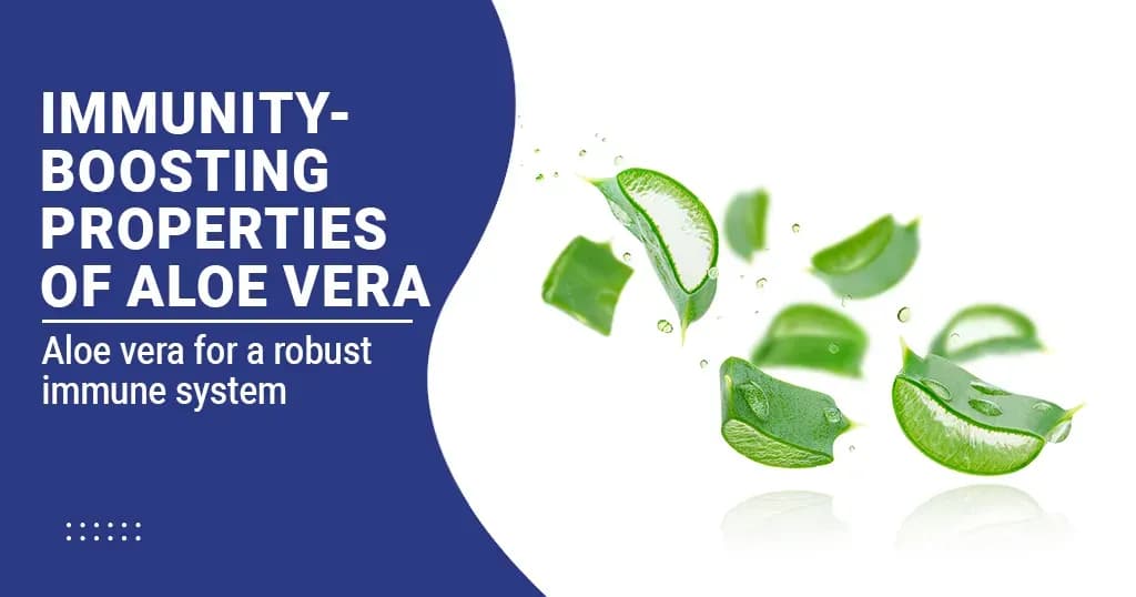 Immunity-boosting properties of Aloe Vera