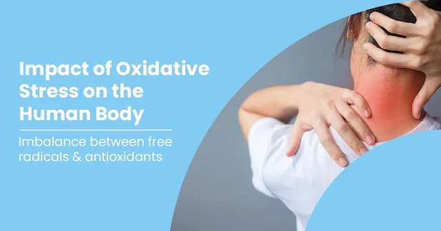 Oxidative Stress and Ways to Reduce It
