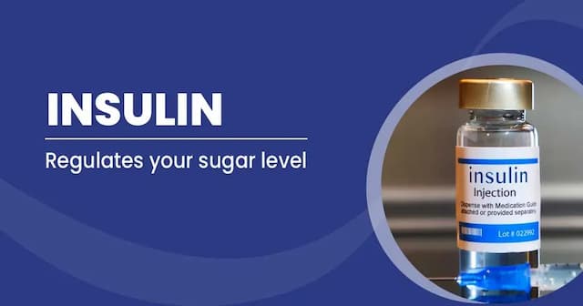 Insulin Function and Types 