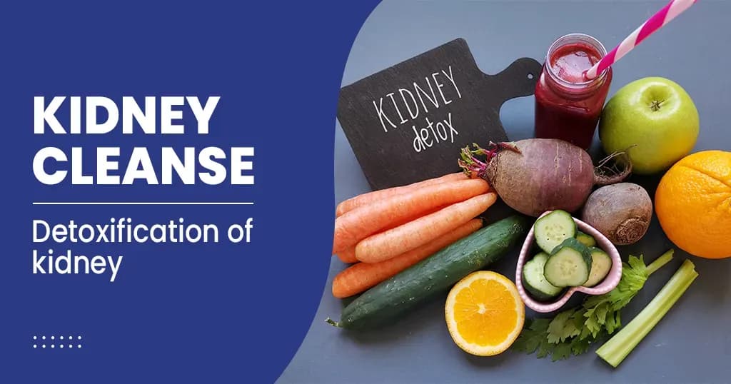 Best Ways to Cleanse your Kidneys and Best Foods for Kidney Health