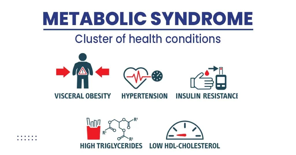Metabolic Syndrome - Components and Criteria