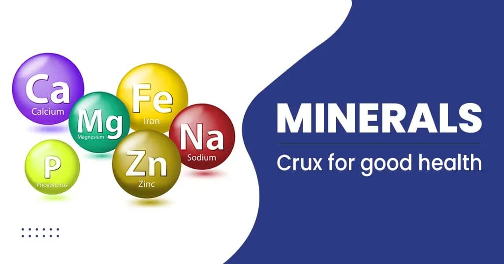 Minerals in Food Types and Benefits 