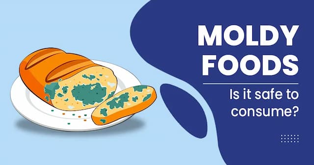 Are Moldy Foods Good or Dangerous?  