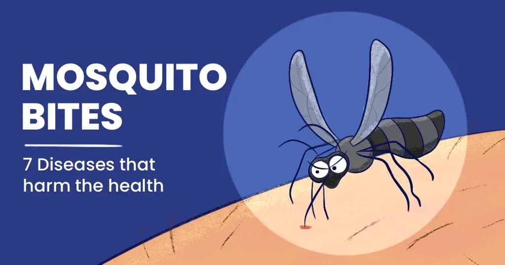 7 diseases caused by mosquito bites
