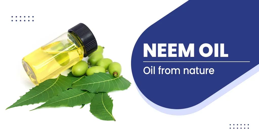 Health Benefits Of Neem Oil - Is Neem Oil good for Health?