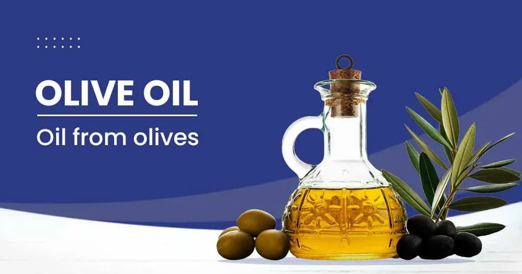 Olive Oil Nutrition Facts and Health Benefits 