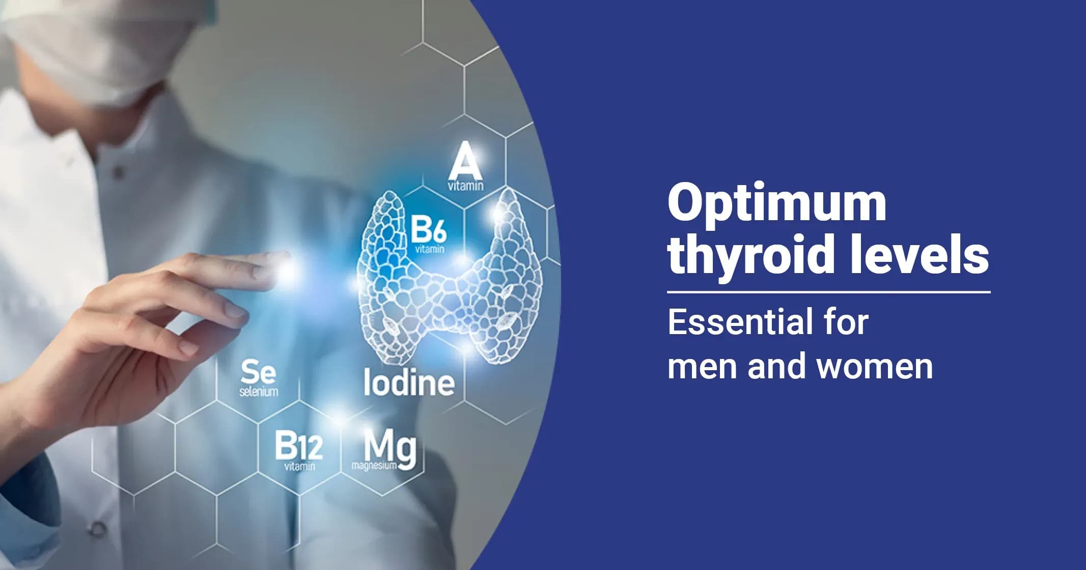 Optimum Thyroid Levels for Males and Females  