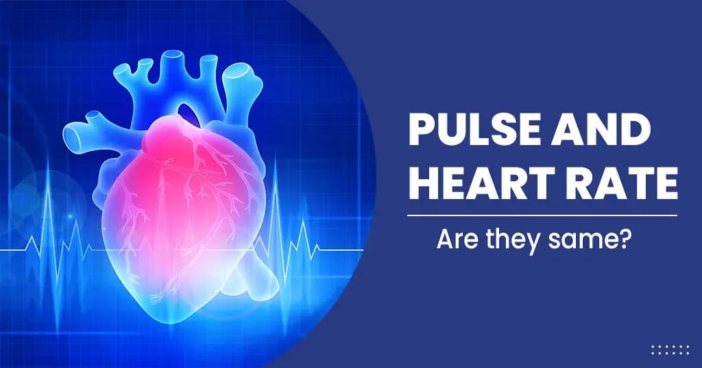 Pulse and Heart rate – All you need to know