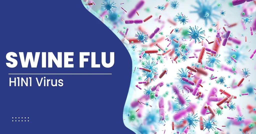 What Is Swine Flu (H1N1 Virus) - Key Facts One Should Be Aware Of This Virus?
