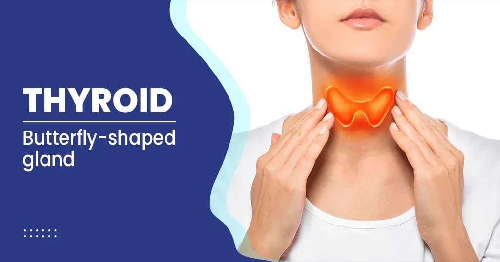 Thyroid Types, Causes, Symptoms, and Treatments  