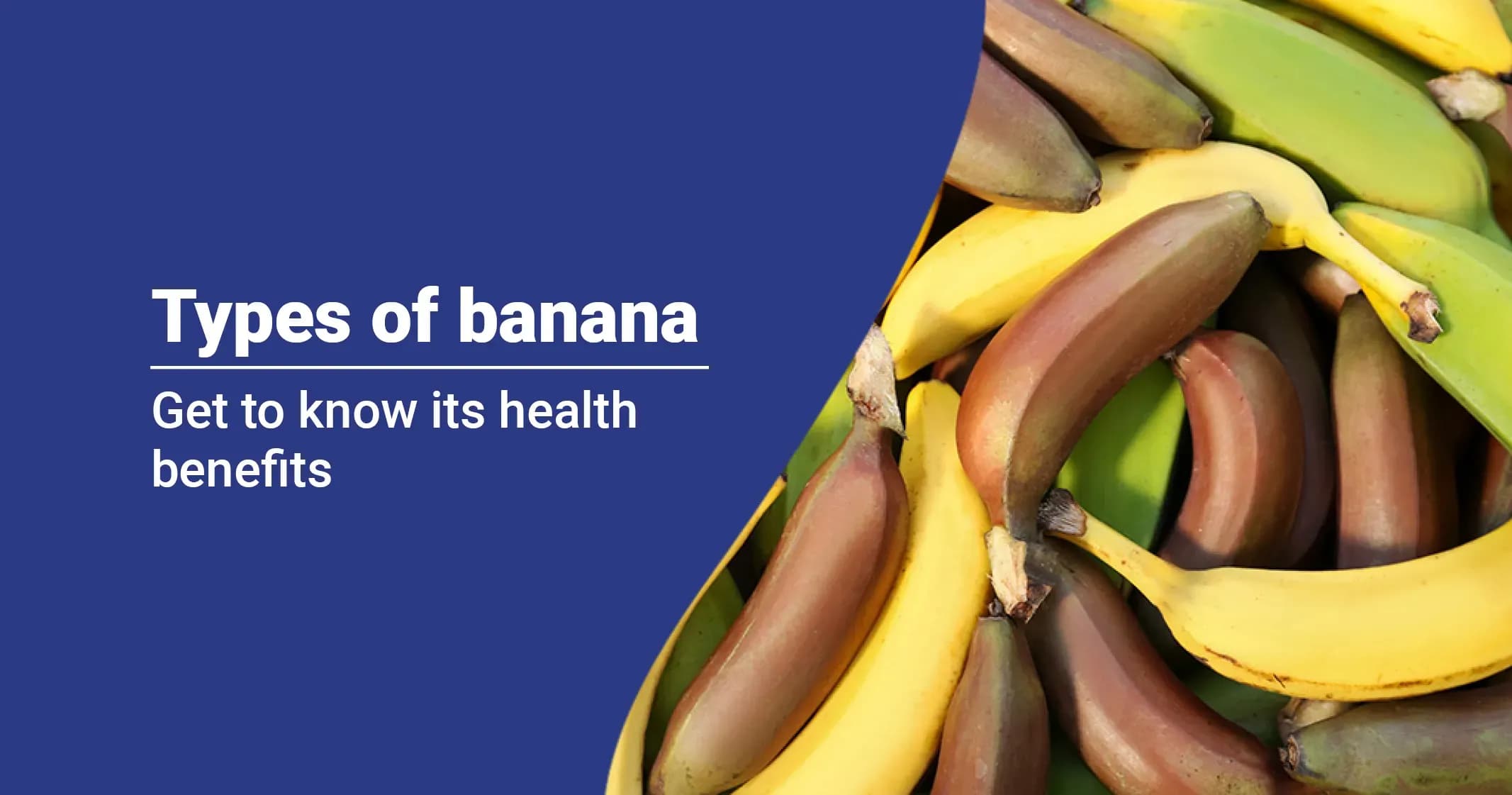 Bananas Health Benefits, Types and Risks