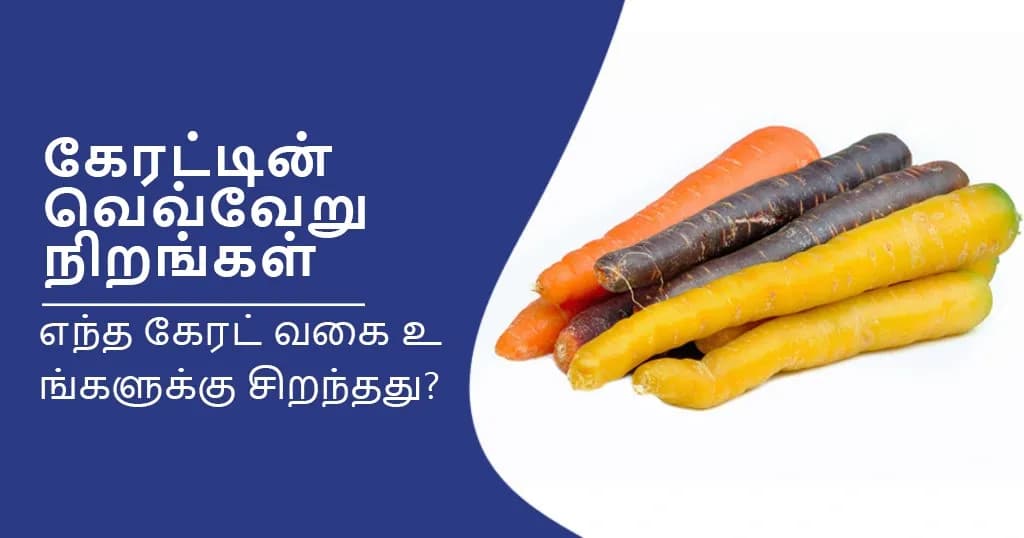 6 Colourful Carrot Types and Benefits