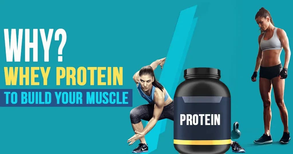 What does Protein do - Whey Protein Benefits   
