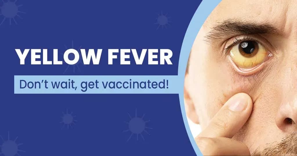 Yellow Fever Stages, Symptoms, Treatments & Prevention 
