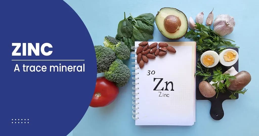 Potential Benefits of Zinc and What Does it Do for the Body?      
