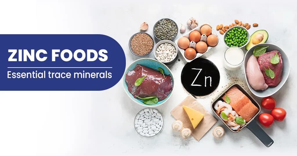 Foods That Are Rich In Zinc 
