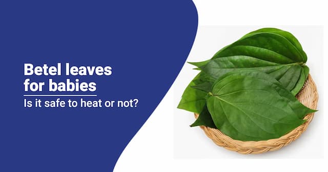 Is It Safe to Heat Betel Leaves For Babies?  