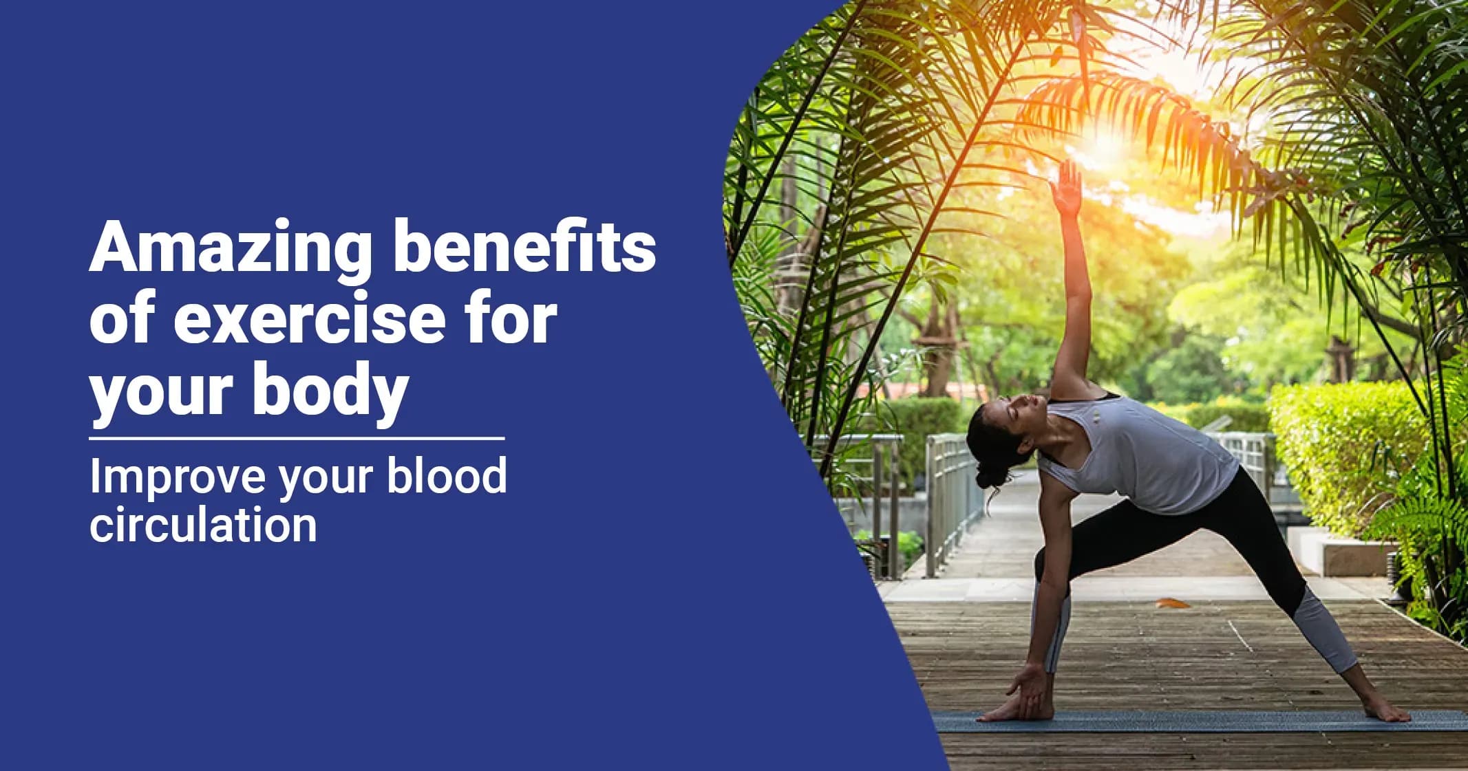 Embracing the Benefits of Exercise for your body 