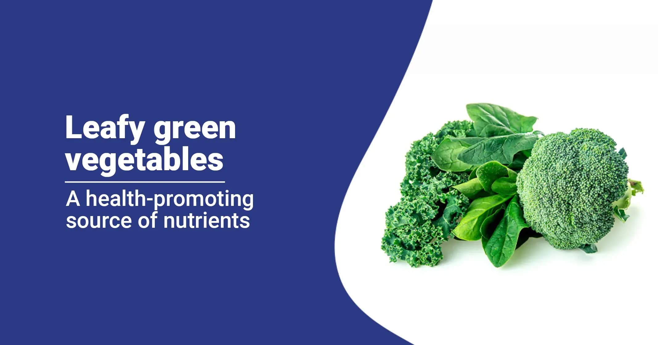 Green Leafy Vegetables-Unlocking Their Power for Better Health and Nutrition
