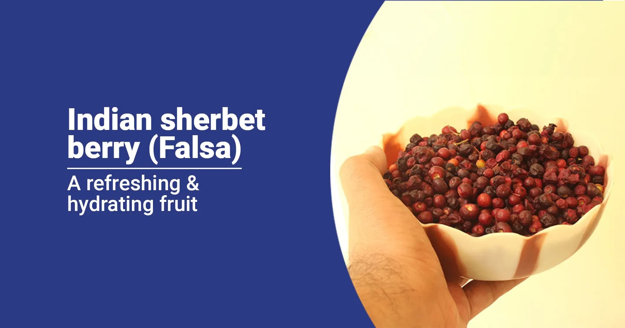 Health Benefits of The Indian Sherbet Berry