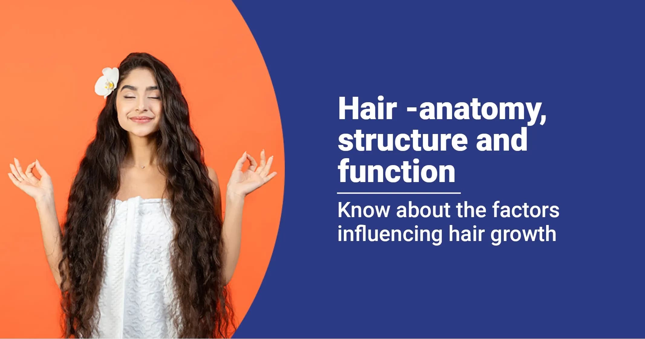 Hair Anatomy and Structure - How Does It Grow