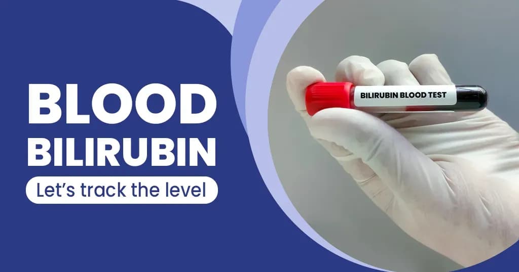 Bilirubin Blood Test All You Need to Know