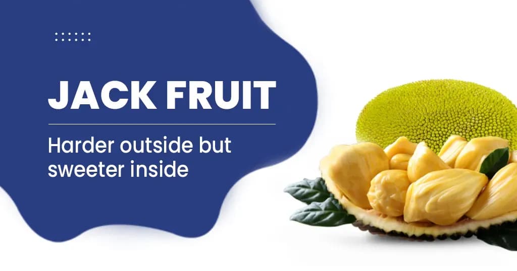 Jackfruit Health Benefits and Its Nutritional Profile