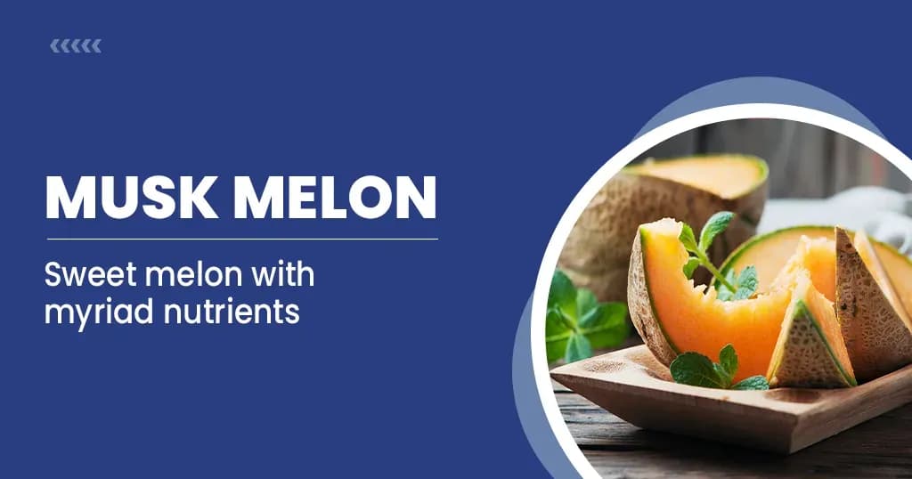 Muskmelon Benefits and Nutritional Profile 