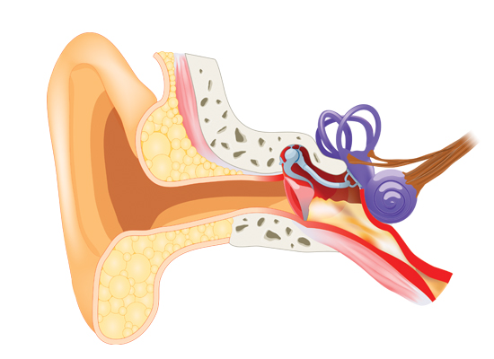 What are the complications of a ruptured eardrum? 