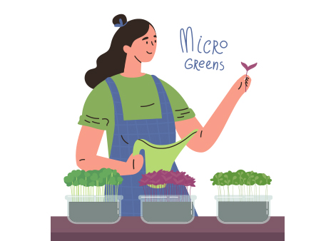 How to grow microgreens ?
