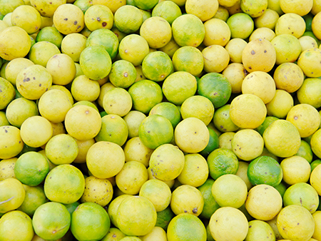 Indian lemon