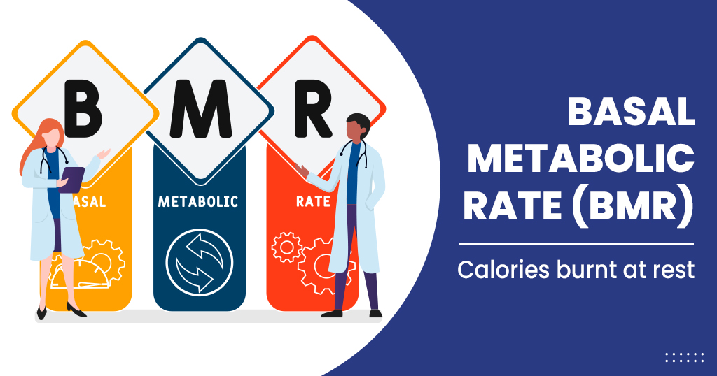 Basal metabolic rate (BMR)