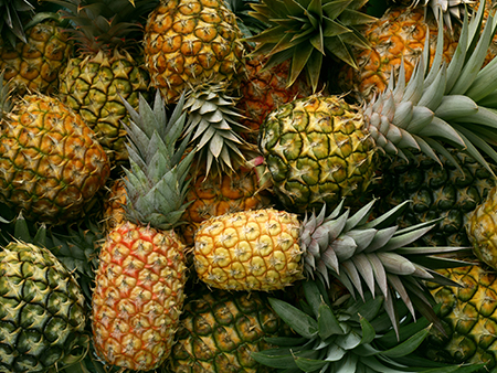 History of Pineapples 