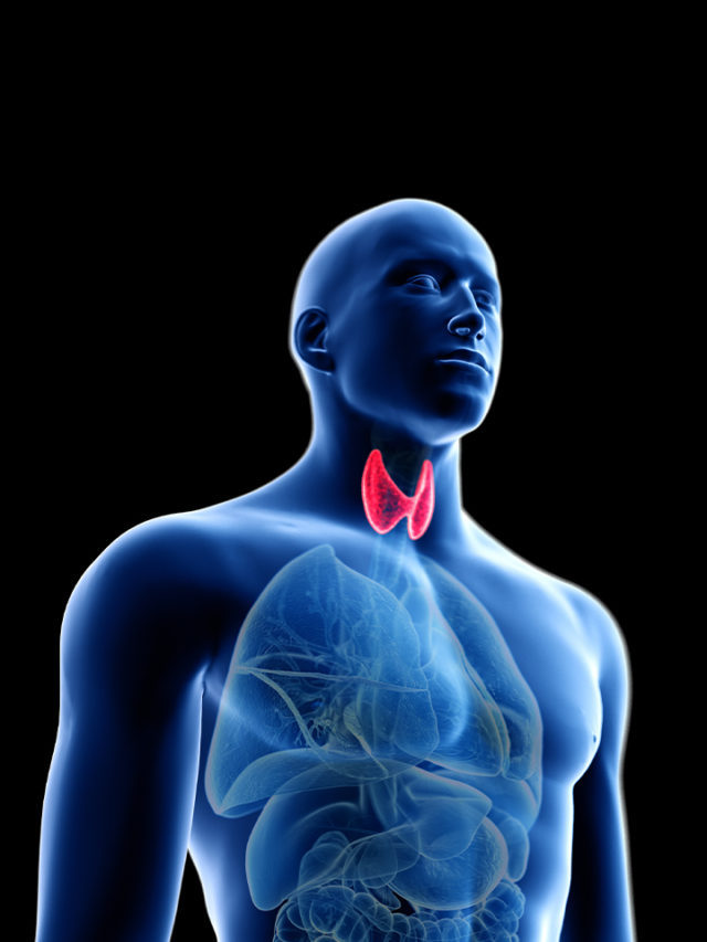 10 Symptoms Of Thyroid Stimulating Hormone