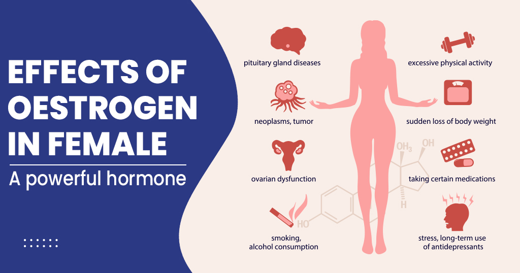 Effects of oestrogen in female