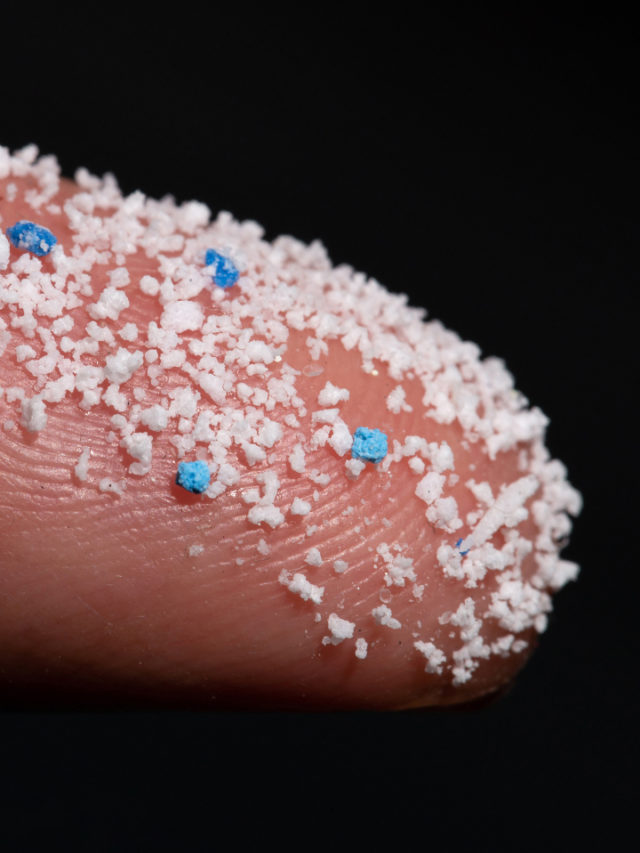 what are microplastics?